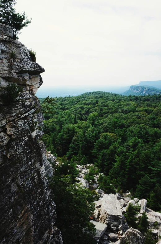 a landscape view of forest with very high cliffs