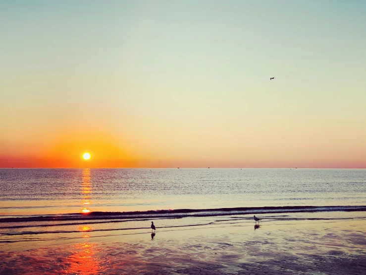 a large body of water with a bird flying by