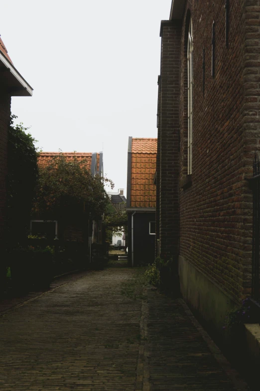 a narrow brick alley lined with tall buildings
