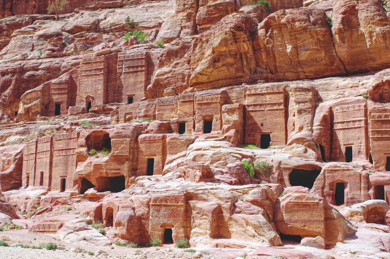 the carved out buildings have green plants growing out of them