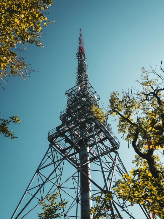 a tall tower is surrounded by trees