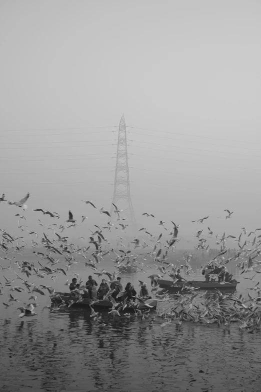 a flock of birds standing on top of a lake next to a tall tower