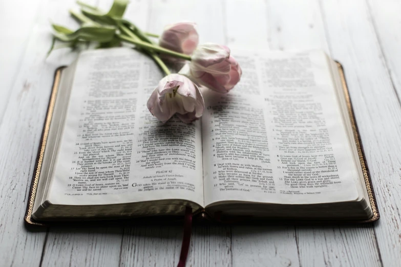 some flowers that are sitting on an open bible