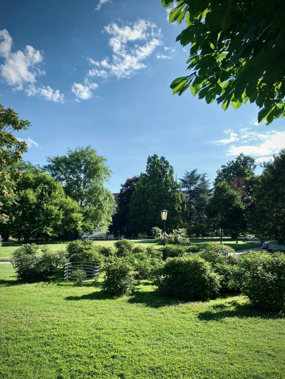 an empty park that has many bushes and trees