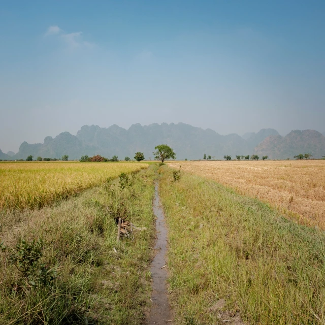 the dirt path runs along side the grass plain