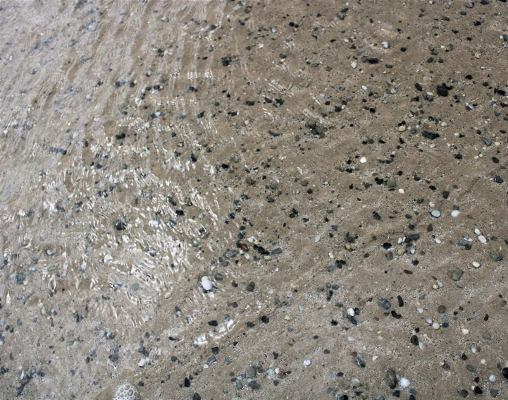 sand and water with black dots on it