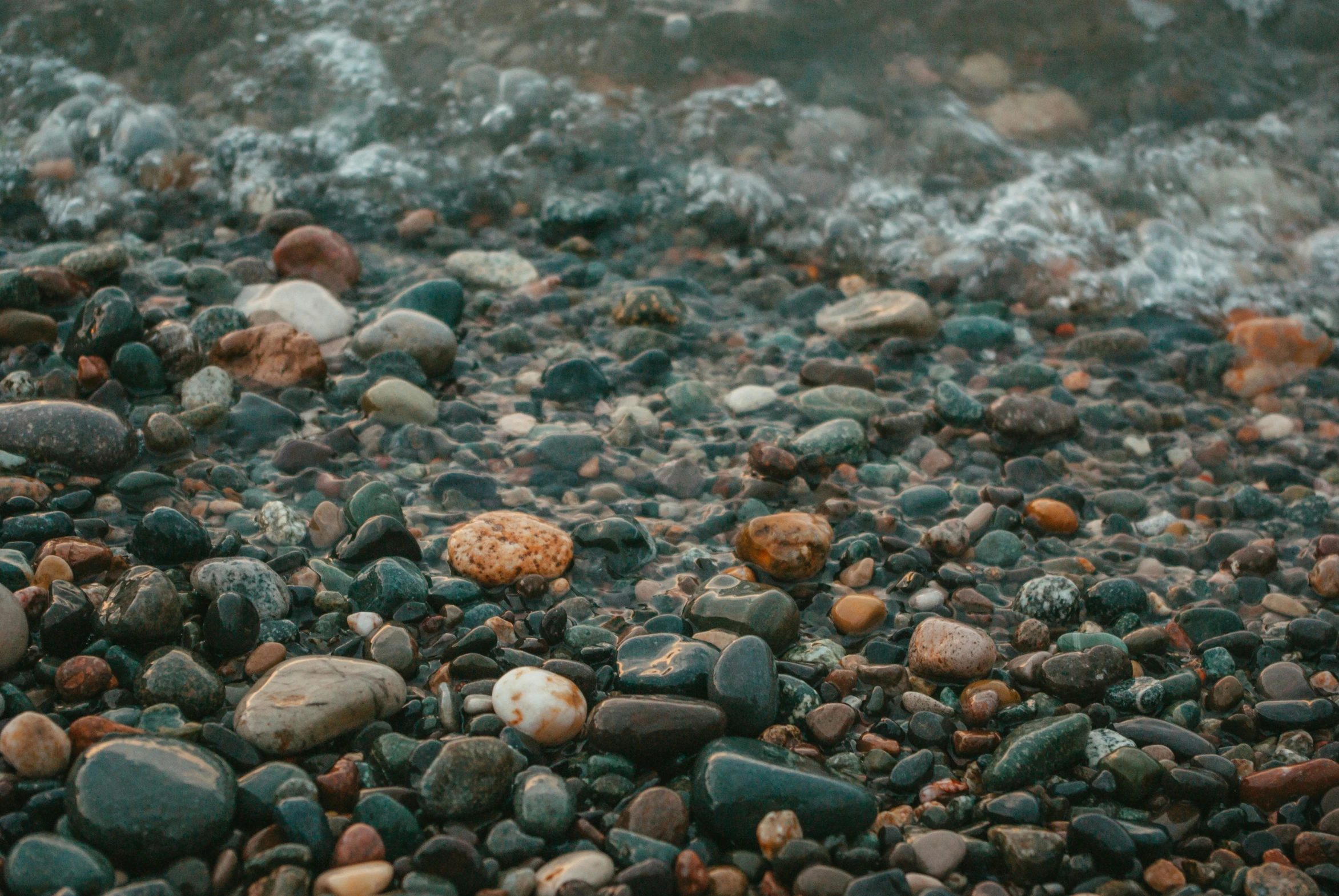 a sandy beach with small stones and a shell