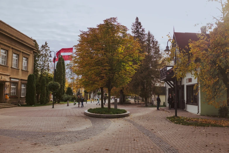 the people walk along the tree lined streets