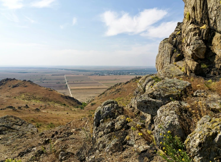 a rocky mountain with yellow flowers near by