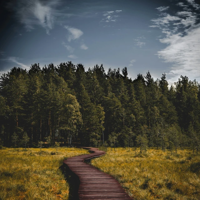 a pathway leading through the middle of a field