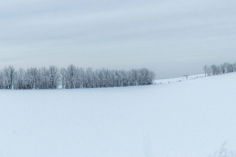 an image of snow scene taken in a rural area