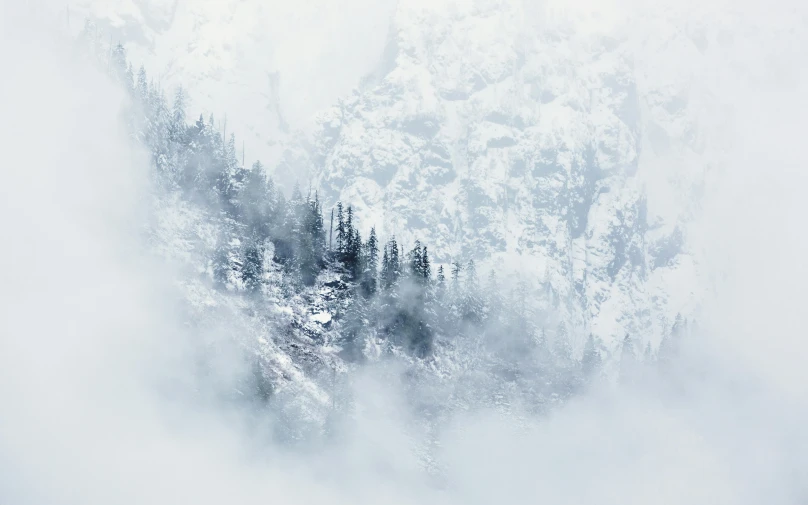 snow covered trees in the fog in the mountains