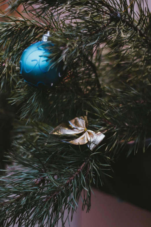 a blue ornament hanging from the christmas tree