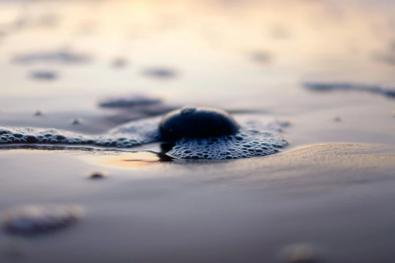 there is a small black object on the beach