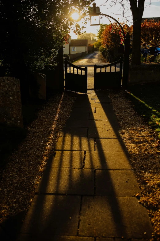 a street light shining into the distance with long shadows
