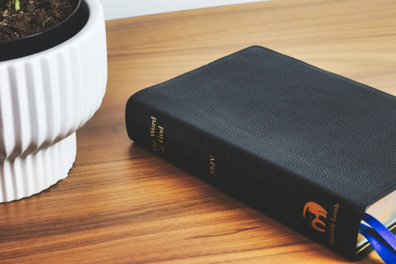 a black book is next to a small plant