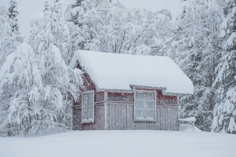 a cabin in the snow with snow falling