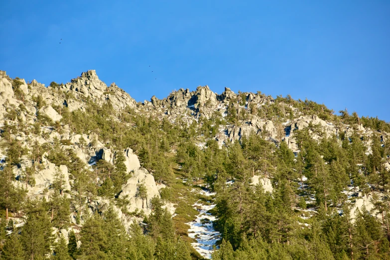 tall green trees sitting on top of a rocky mountain