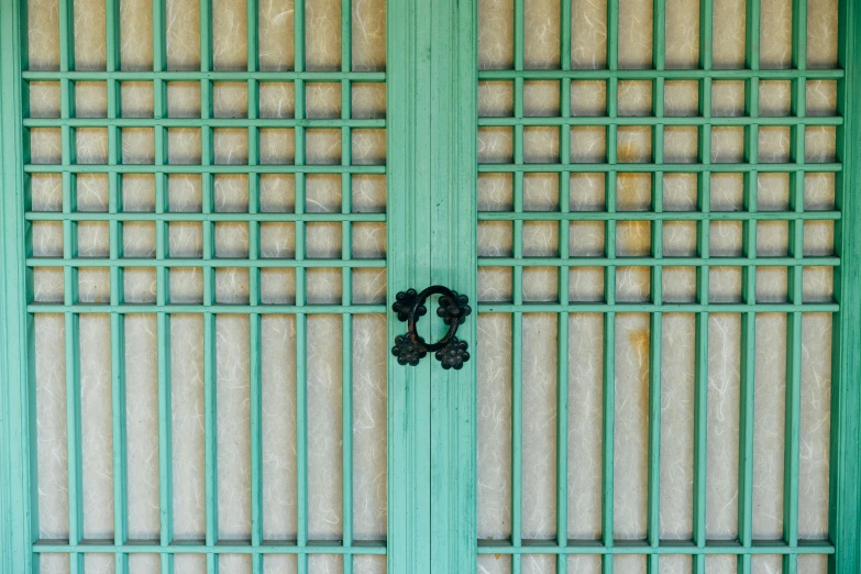 two wreaths on a green door with white background