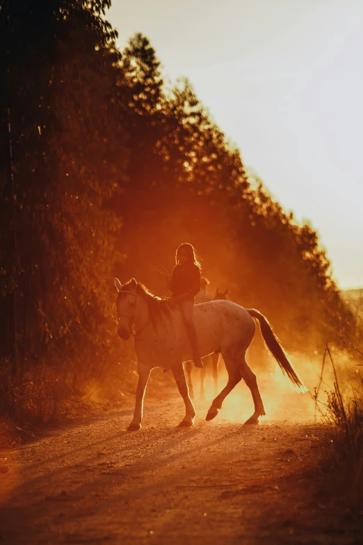 two people riding horses on dirt road next to trees