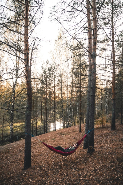 a hammock is placed in the middle of the trees