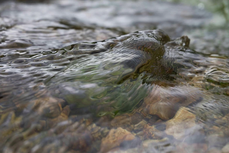 close up of water flowing over rocks and grass