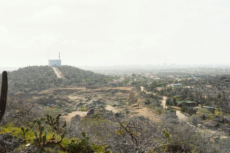 a big desert view in the distance with cactus and other vegetation