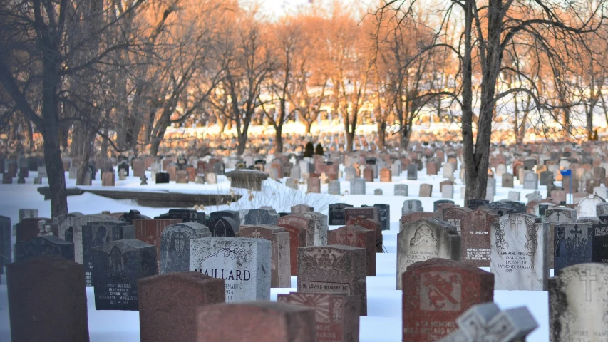 a snow covered cemetery with many headstones in the snow