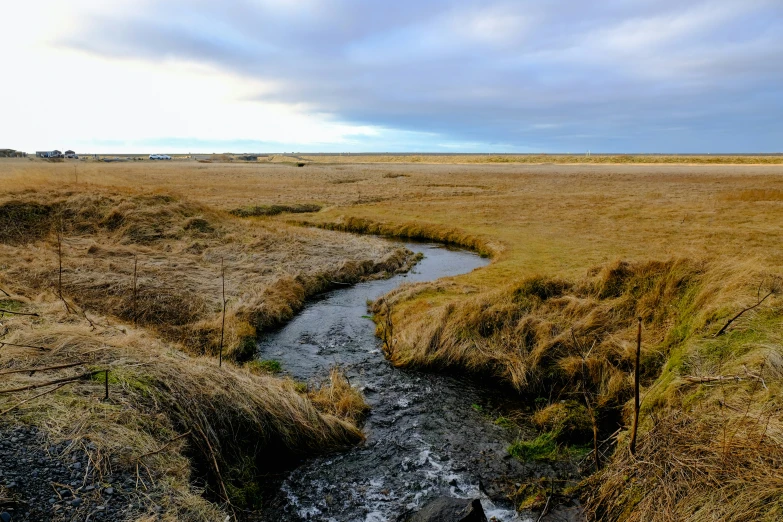 the water is running down the river in the field