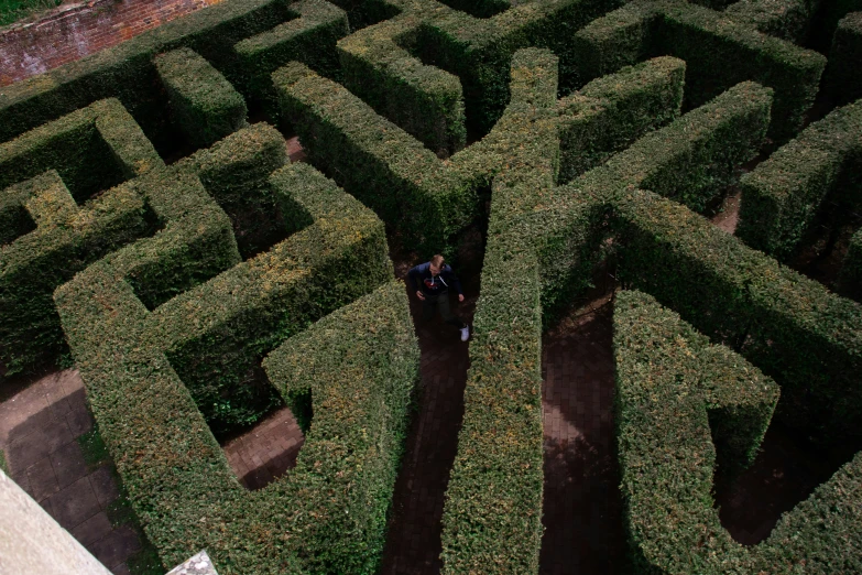 people walking through an ornamental maze in a park