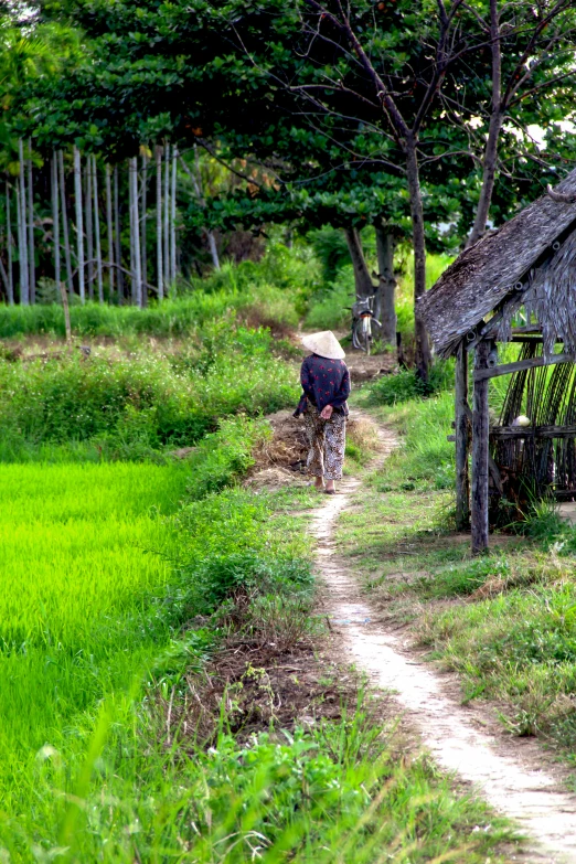 a person walking down a trail with a cow