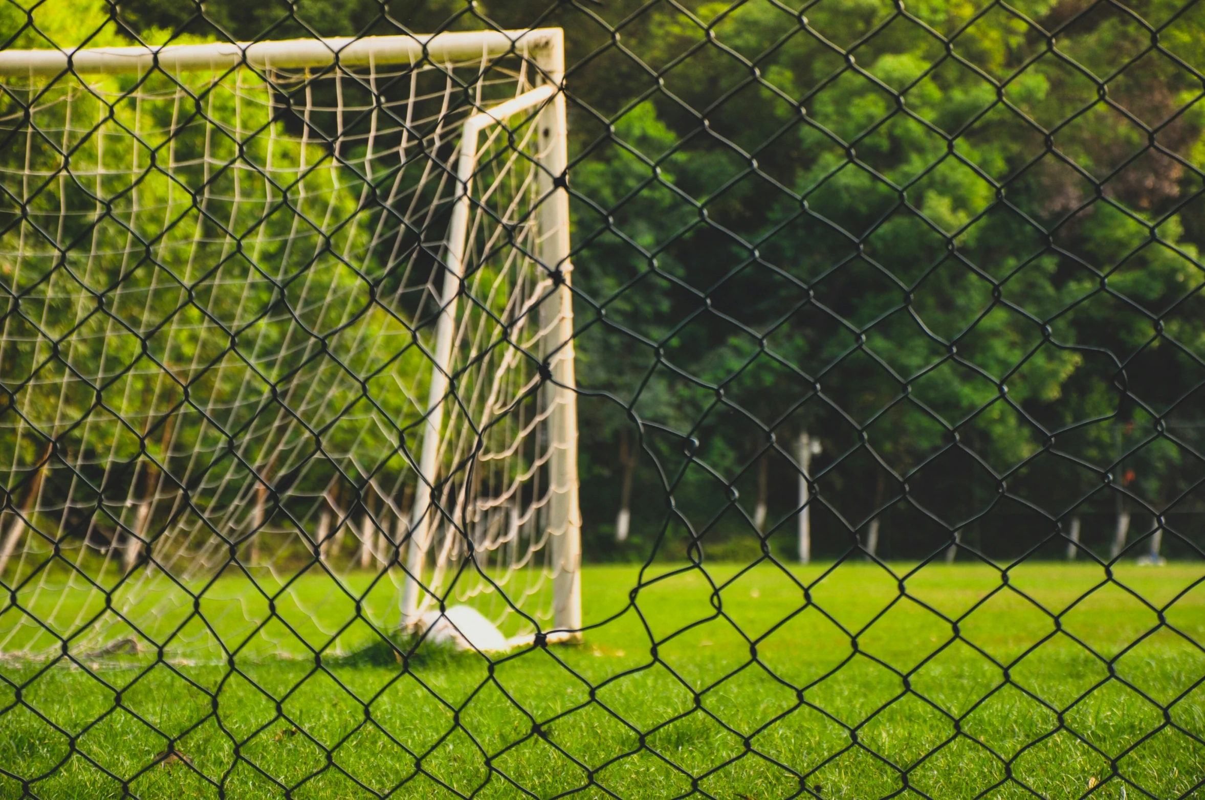 a soccer goal is behind the gate and in the grass