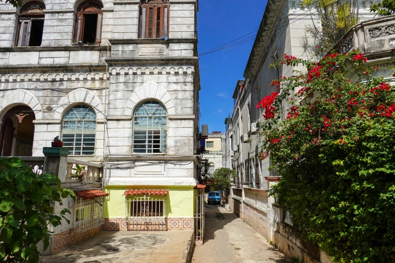 this is an alley way with an old building and flower bushes