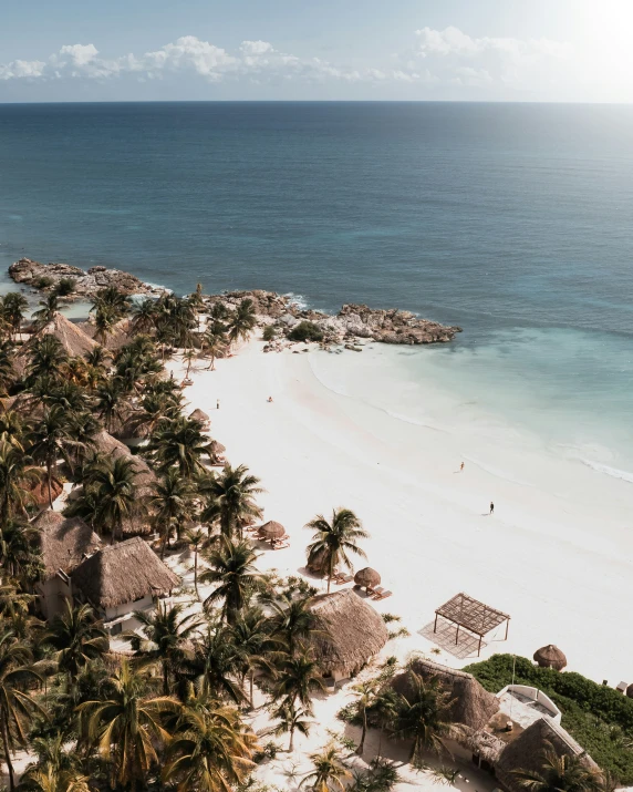 the palm trees on a tropical island are near the beach