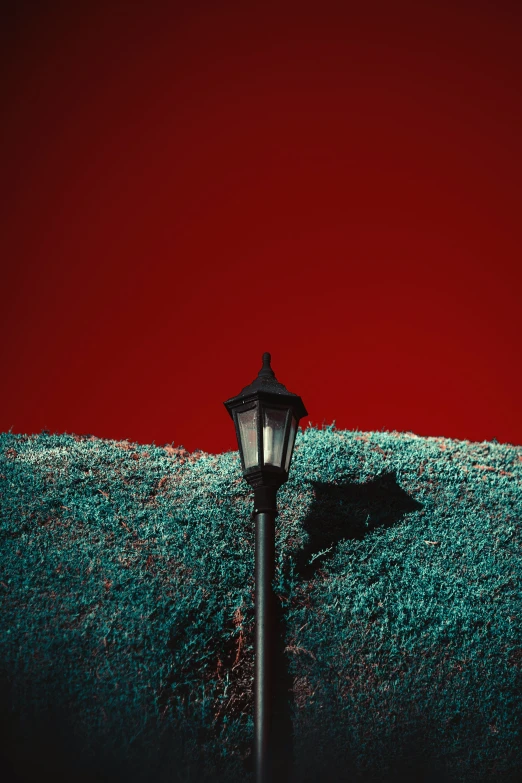 a lamp in the middle of an empty grass covered field