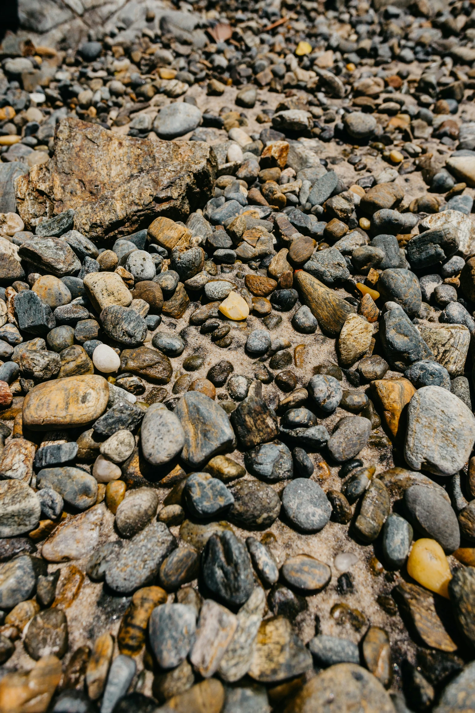 there is a small lot of rocks on the ground