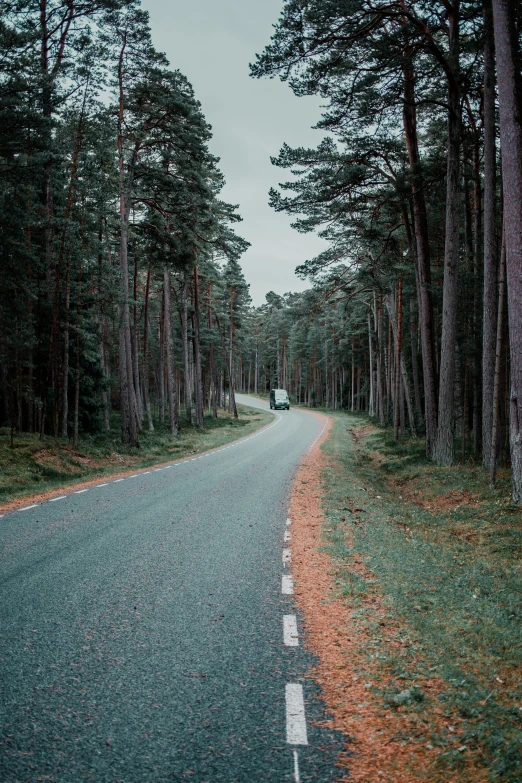 a car drives down an empty road near a grove of trees