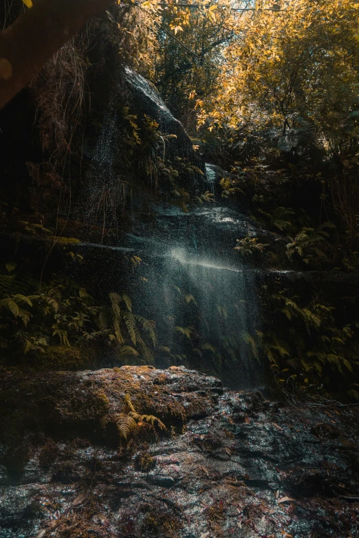 a waterfall flowing down a forested river covered in leaves