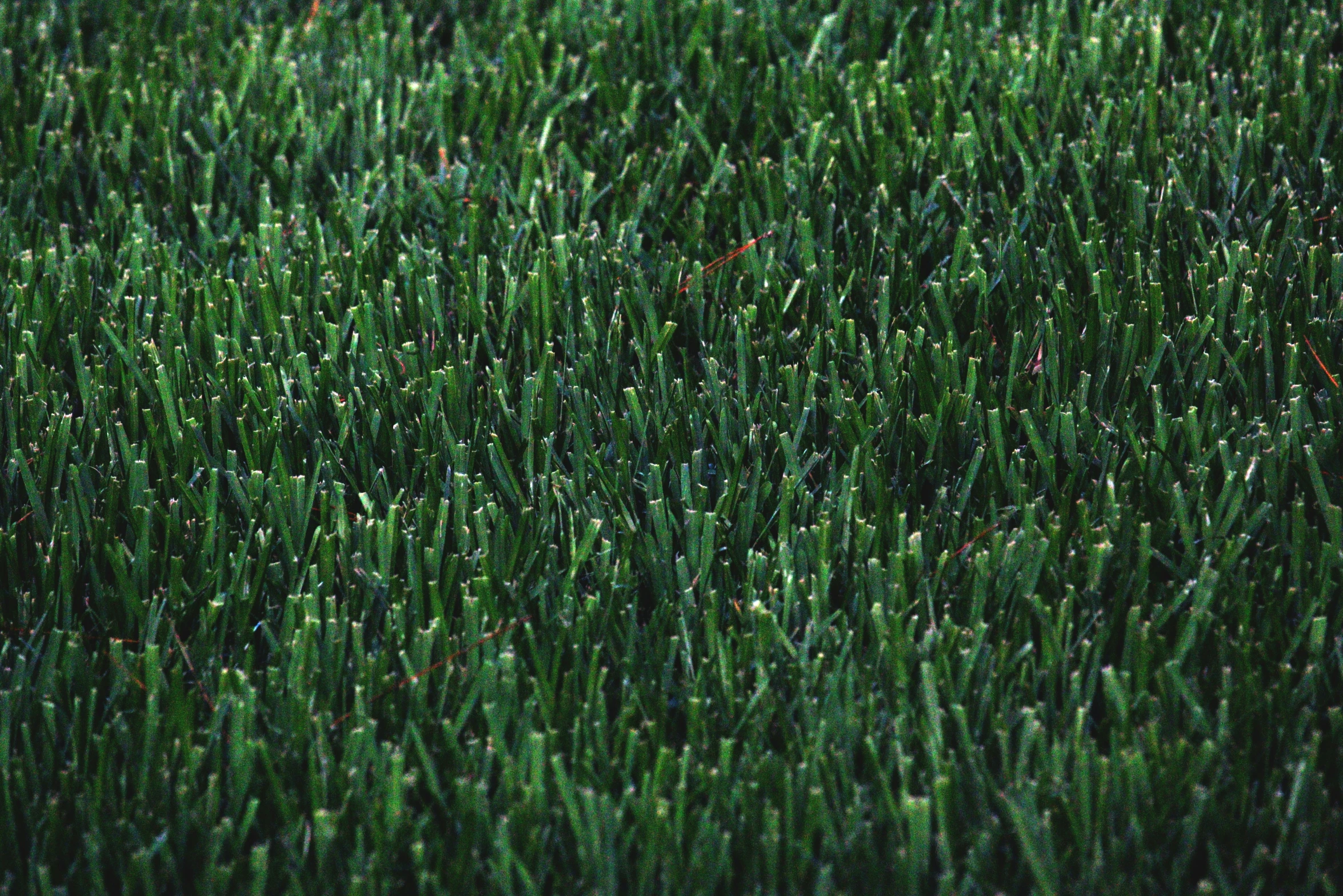 a field of grass with a red stop sign next to it