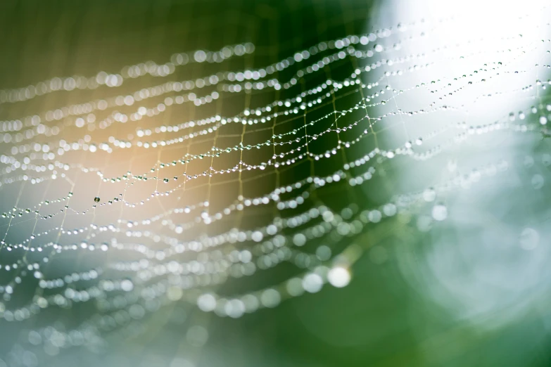 a web that is sitting on top of a floor