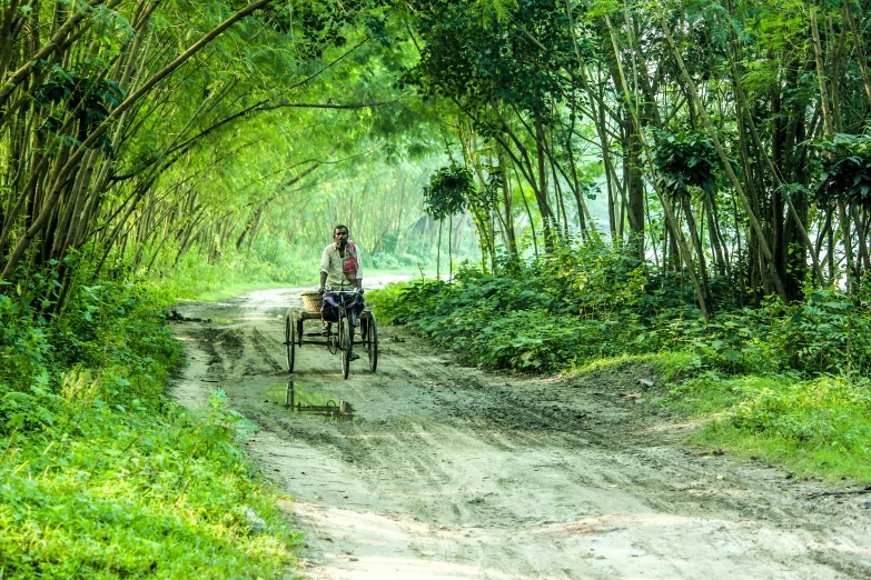 there is a man on a horse drawn cart