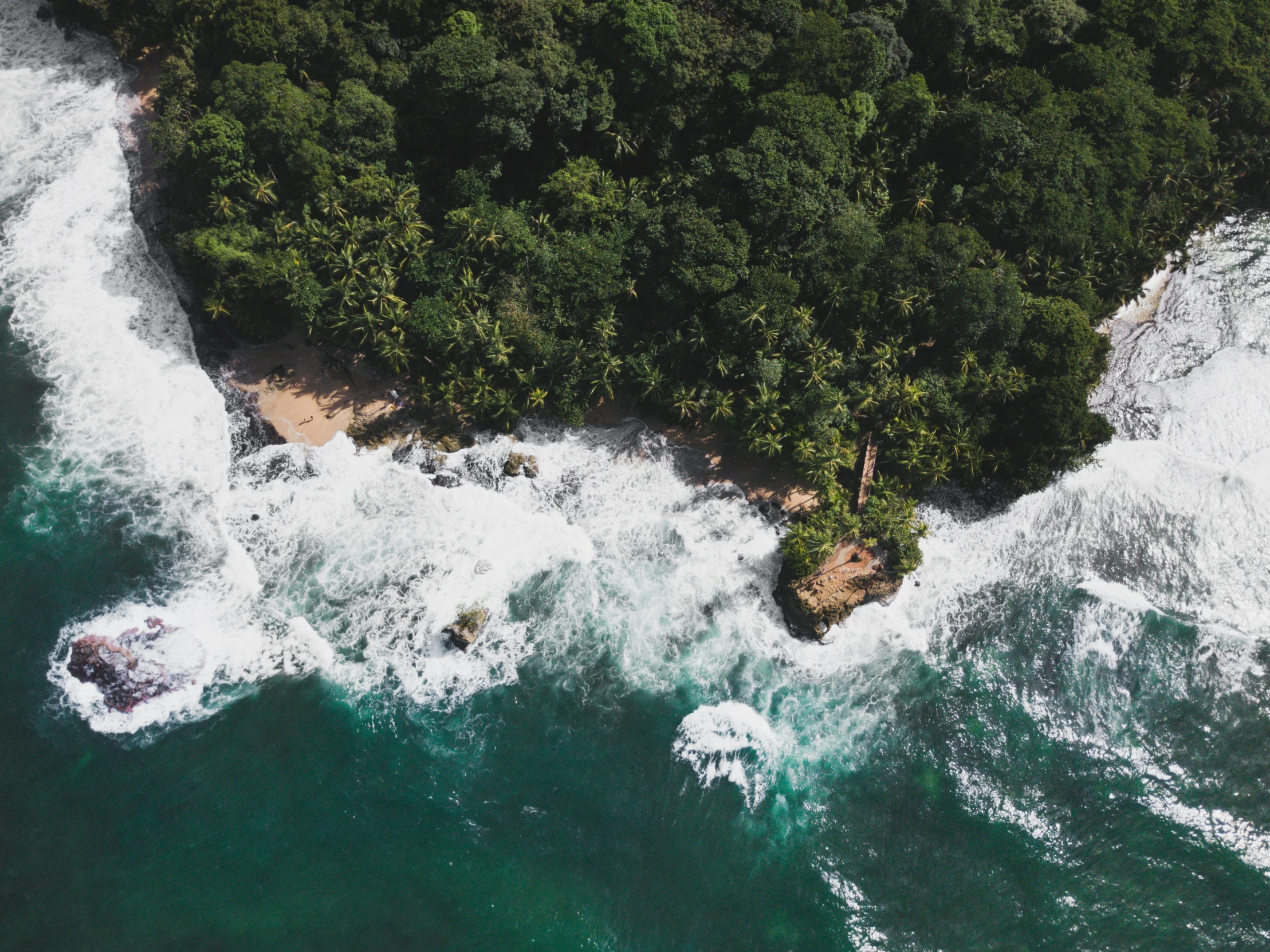 an aerial view of a group of trees next to an island with waves and green trees on it