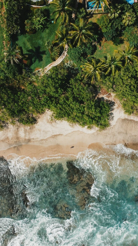 an aerial view of a beach next to some trees