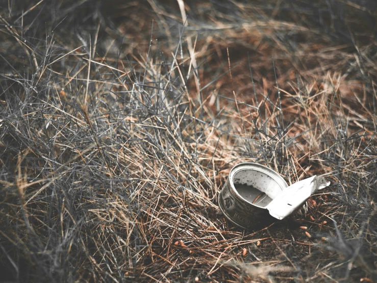 an old pair of shoes sitting in a field