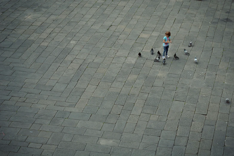 a person and birds that are on the road