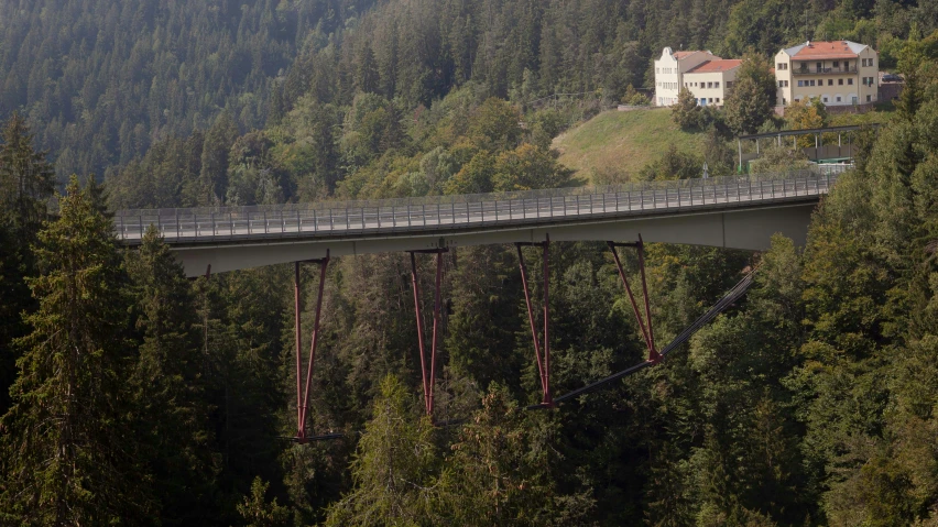 an elevated bridge over a valley with trees surrounding it