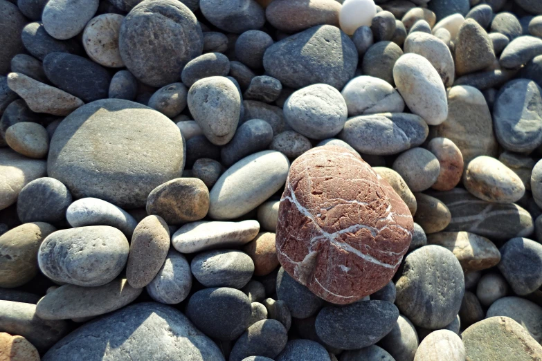 an interesting picture of some rocks with a fossil embedded on it