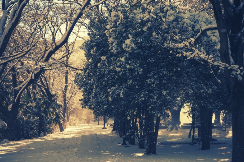 a snow covered park bench and trees on the side