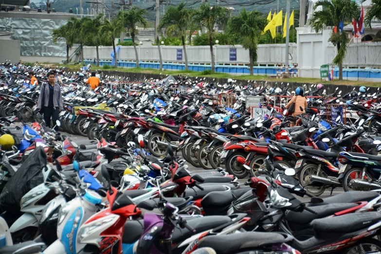 rows of motorcycles are parked near each other