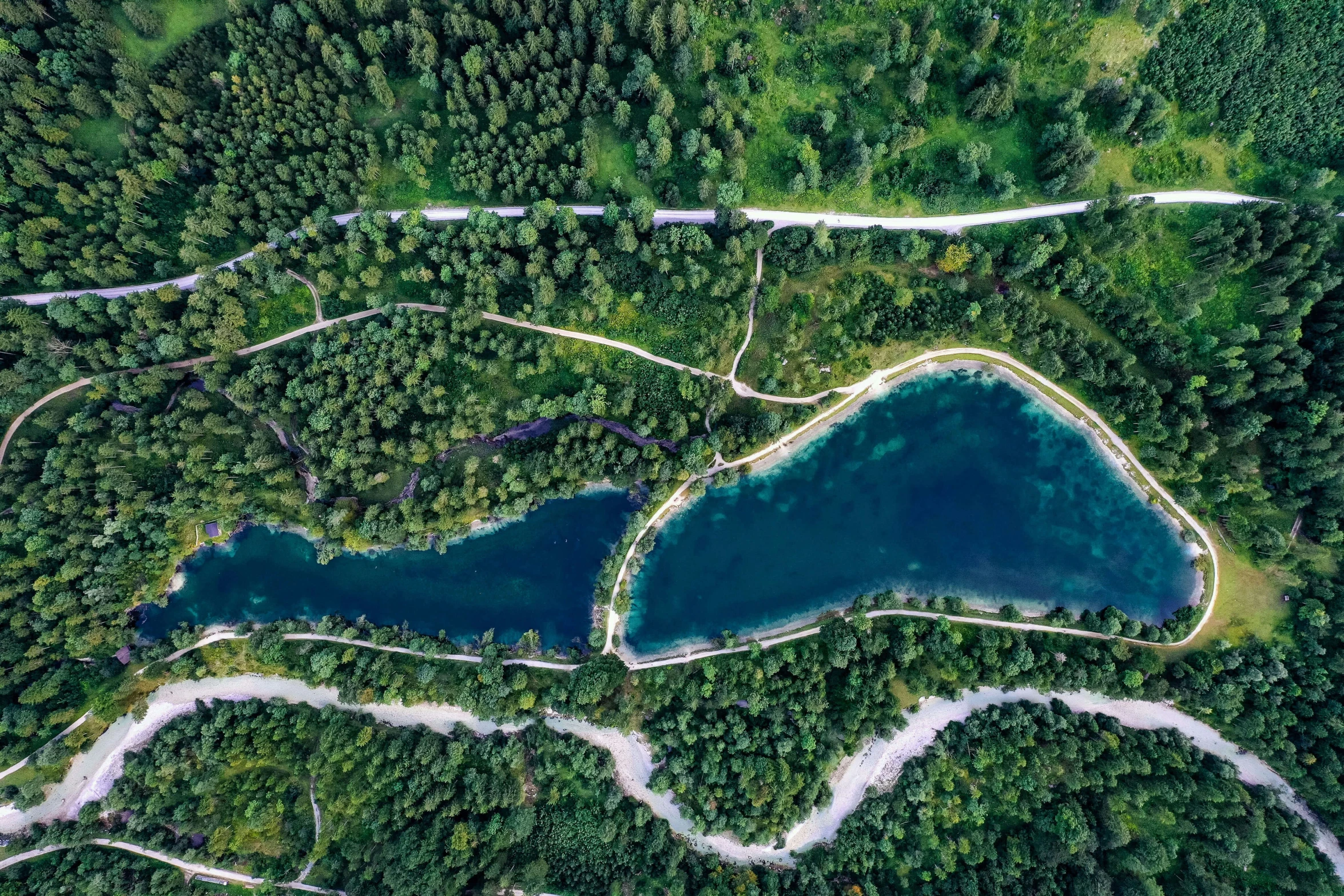 the aerial view from above of trees, and blue water